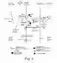 Fig. 11 - Methods and systems for routing packets in a VPN-client-to-VPN-client connection via an SSL/VPN network appliance