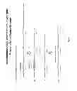Fig. 02 - ANTIBODIES, VARIABLE DOMAINS & CHAINS TAILORED FOR HUMAN USE
