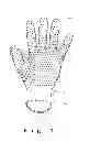 Fig. 02 - NON-SLIP FINISHED GLOVE AND METHOD FOR MANUFACTURING THE SAME