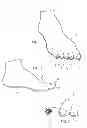 Fig. 02 - FOOT COVERING WITH ARTIFICIAL TOENAILS