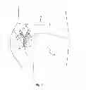 Fig. 09 - Shirt hold-down undergarment