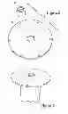 Fig. 05 - Universal pedestal mounting assembly
