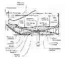 Fig. 01 - Shoe spring and shock absorbing system