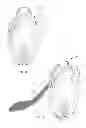 Fig. 07 - Bicycle shoe