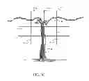 Fig. 07 - VINE TRELLISING COMBINED SHADE AND BIRD CONTROL SYSTEM