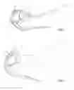 Fig. 02 - Master for a hydraulic actuating element
