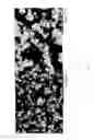 Fig. 04 - CO2-SEQUESTERING FORMED BUILDING MATERIALS