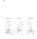 Fig. 06 - Ship