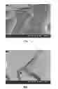 Fig. 08 - System for coating a stent