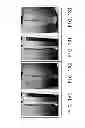 Fig. 02 - Method employing polyols when chemically modifying the internal region of a hair shaft