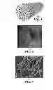 Fig. 03 - Apparatus pertaining to the co-generation conversion of light into electricity