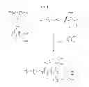 Fig. 02 - Biocompatible adhesive polymers