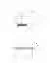 Fig. 04 - Device and method for conveying packaged good and/or bulk goods