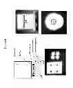 Fig. 09 - ELECTROCHEMICAL SENSORS