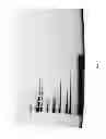 Fig. 02 - Modified electrode buffers for stain-free protein detection in electrophoresis