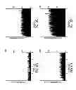 Fig. 09 - Method for nanoparticle electrogenerated chemiluminescence amplification