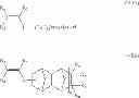 Fig. 43 - Cycloalkylnorbornene monomers, polymers derived therefrom and their use in pervaporation