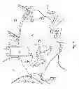 Fig. 08 - Microwave Application