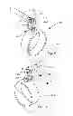 Fig. 06 - Mandrel cupping assembly
