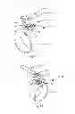 Fig. 08 - Mandrel cupping assembly
