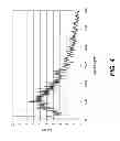 Fig. 06 - Composite gamma-neutron detection system