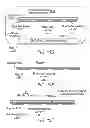 Fig. 22 - Composite gamma-neutron detection system
