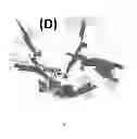 Fig. 06 - Thermal Insulation with Entangled Particulate Units having Non-Integer Dimensionality