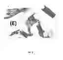 Fig. 07 - Thermal Insulation with Entangled Particulate Units having Non-Integer Dimensionality