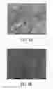 Fig. 07 - Green-emitting (oxy)nitride-based phosphors and light-emitting device using the same
