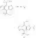 Fig. 43 - CONJUGATED POLYMERS