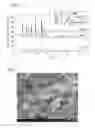 Fig. 02 - Method for producing cathode-active material for lithium secondary battery