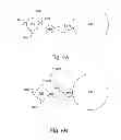 Fig. 06 - Nanostructure having metal nanoparticles and a method of assembly thereof