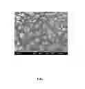 Fig. 02 - METHOD FOR MANUFACTURING AN ALUMINUM NITRIDE PARTICLE AND APPLICATION THEREOF