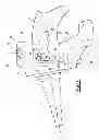 Fig. 02 - Axle Assembly