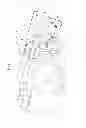 Fig. 02 - CLIP