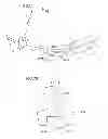 Fig. 03 - Crawler traveling device and elastic crawler