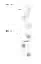 Fig. 04 - ORGANIC LIGHT EMITTING DISPLAY DEVICE WITH SUBSTANTIALLY POLYGONAL SUB-PIXELS