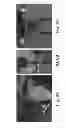 Fig. 07 - High efficiency incandescent lighting