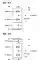 Fig. 02 - Method for driving semiconductor device