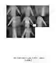 Fig. 06 - Reference object for three-dimensional modeling