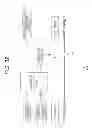 Fig. 32 - Image processing device, image processing method, and program for correcting depth image based on positional information