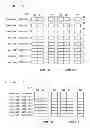 Fig. 06 - Image processing apparatus and image processing interface circuit
