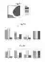 Fig. 10 - IMAGE DISPLAY DEVICE AND IMAGE DISPLAY METHOD