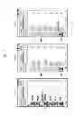 Fig. 06 - METHOD AND APPARATUS FOR DYNAMIC IMAGE MANIPULATION IN A MOBILE TERMINAL