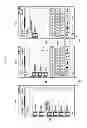 Fig. 07 - METHOD AND APPARATUS FOR DYNAMIC IMAGE MANIPULATION IN A MOBILE TERMINAL