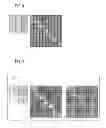 Fig. 04 - DISPLAY DEVICE AND DISPLAY METHOD