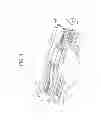 Fig. 02 - Liquid ejecting head and liquid ejecting apparatus
