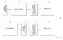 Fig. 01 - Night vision system and method