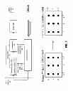 Fig. 05 - Motion adaptive filter and deinterlacer and methods for use therewith