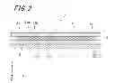 Fig. 03 - Display device including seal material with improved adhesion strength for bonding two substrates together